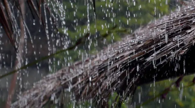 Rain