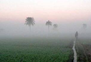 Odisha Weather 750x430