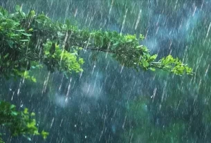 Rain