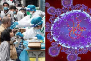Hmpv Virus 1736146537