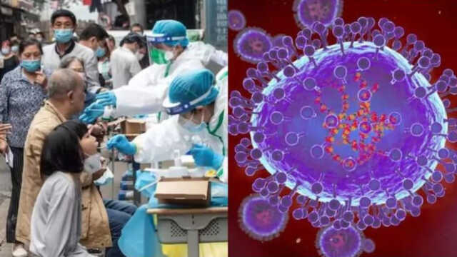 Hmpv Virus 1736146537