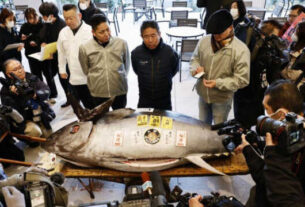 Tuna Fish 1736154727