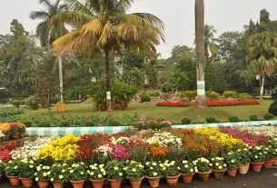 Raj