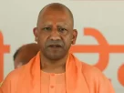 Cm Yogi