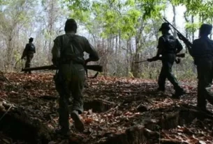 Maoist 1486013874