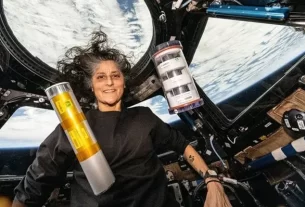 Sunita Williams In Space 1136596