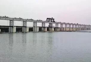 Mahanadi River