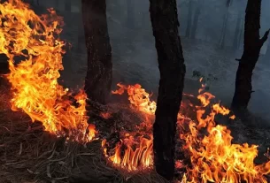 Fire