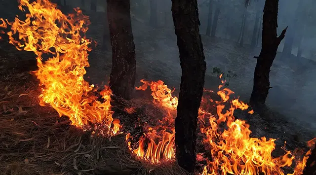 Fire