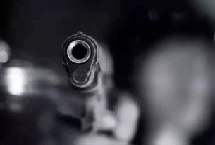 Gun