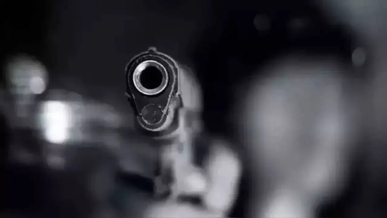 Gun