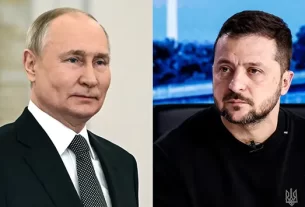 Putin Zelen
