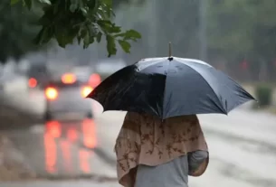 Rain