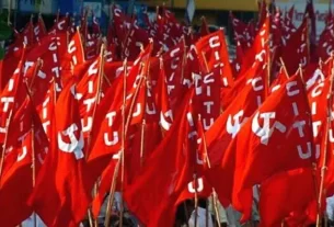 Citu