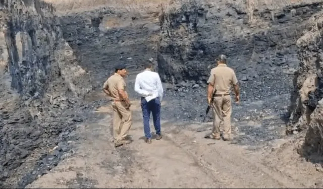 Coal