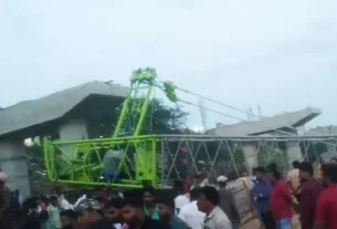 Dfsd