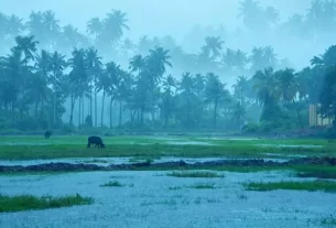 Keral Monsoon