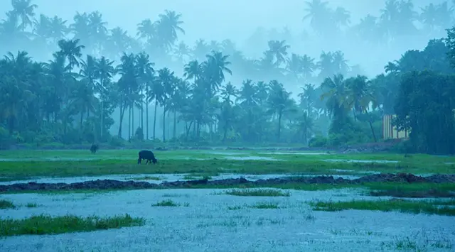 Keral Monsoon