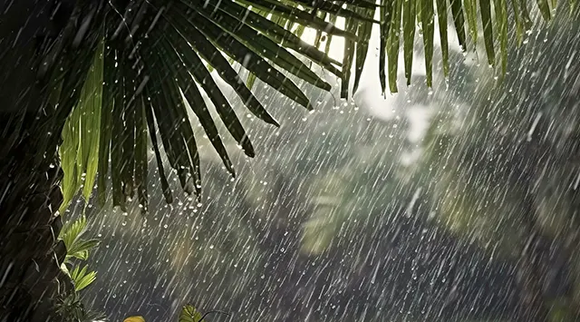 Monsoon