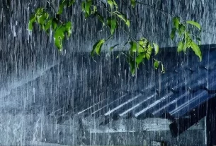 Rain