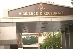 Vig