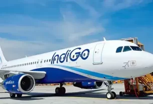 Indigo