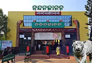Nandankanana