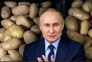 Pot