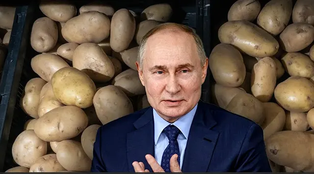 Pot