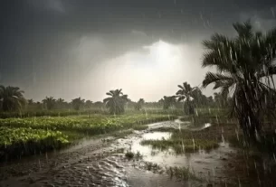 Rain