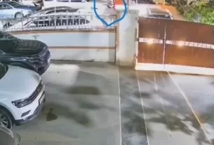2 195 1751715343422