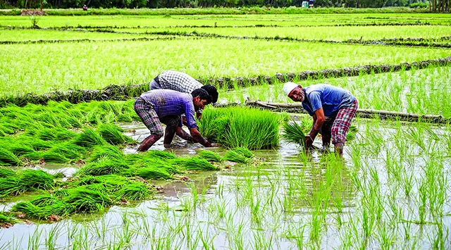 Chasi