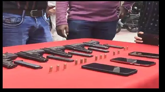 Gun