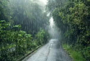 Rain