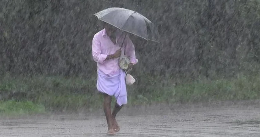 Rain