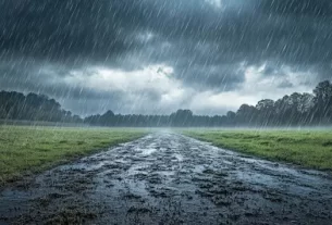 Rain