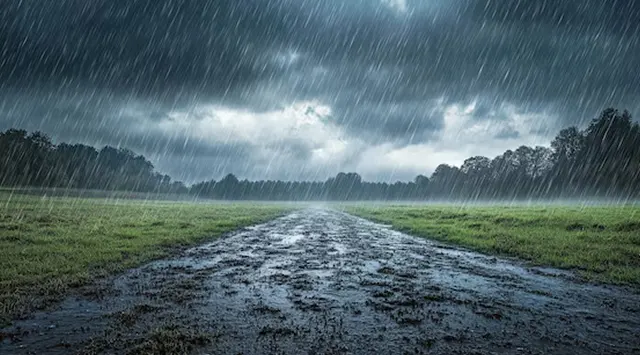 Rain