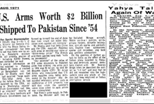 Article 1068x601
