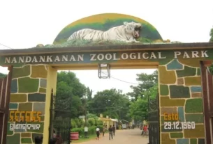 Nandankanan E1672467627404 640x4