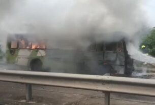 Ama Bus C