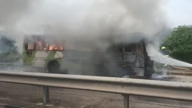 Ama Bus C