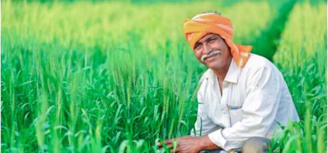 Farmer