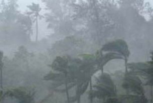 Heavy Rain 123