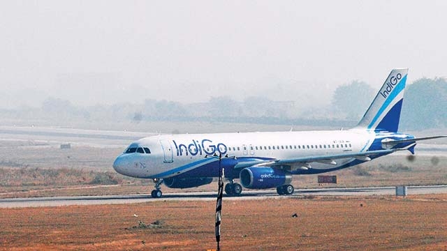 Indigo 2