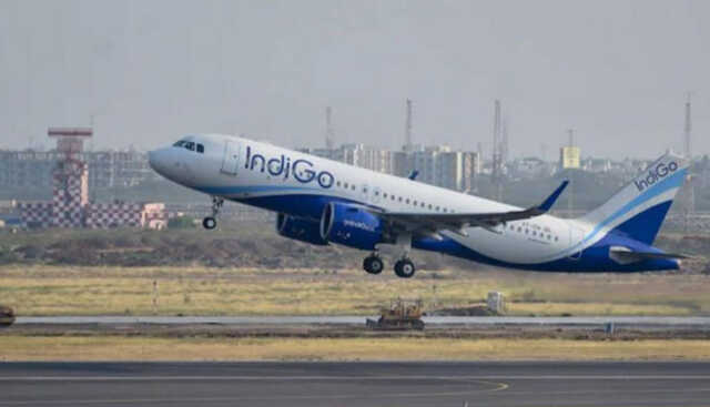 Indigo