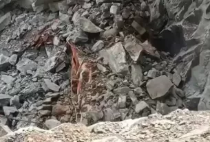 Sfd